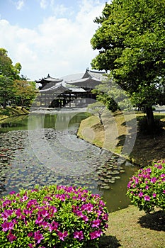 Byodoin temple in Uji, Japan photo