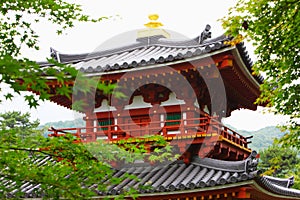 Byodoin Temple in Uji,Kyoto,Japan