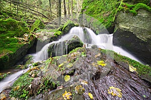Bystry potok creek in Polana mountains