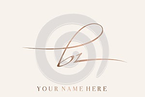 BZ monogram logo. Calligraphic lowercase signature icon.