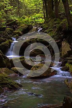 BÃ­lÃ¡ opava river in Jeseniky mountains in Czech republic