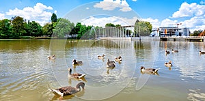 BÃ¶blingen, Germany, Lower Lake with Ducks and Old Town