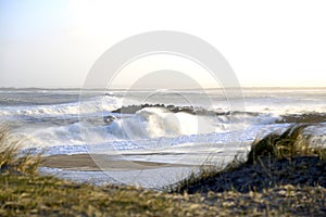 BÃ¸lger ved Vesterhavet ved klitterne