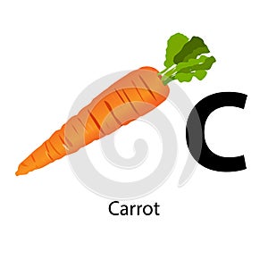 C for carrot vector illustration. basic learning English
