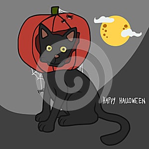 Black cat wear pumpkin head , Halloween concept cartoon  illustration