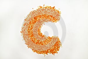 C Font Letter Breadcrumbs White Background