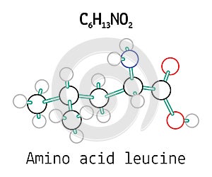 C6H13NO2 amino acid Leucine molecule photo