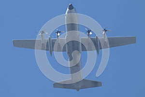 C-130 Hercules cargo plane in flight
