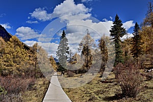 c of Majia Valley in western Sichuan Plateau