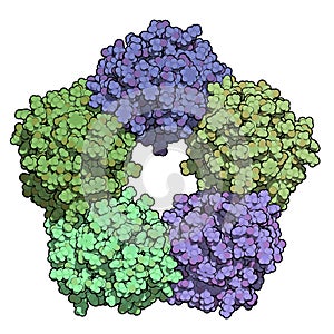 C-reactive protein (CRP, human) inflammation biomarker, chemical structure. 3D rendering. Infections and inflammation cause