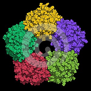 C-reactive protein (CRP, human) inflammation biomarker protein. Infections and inflammation cause increased blood levels of this photo