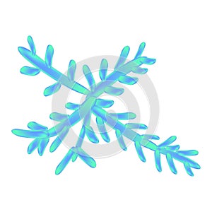 C. utilis candida. Pathogenic yeast-like fungi of the Candida type morphological structure. Vector illustration