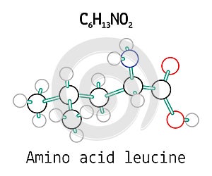 C6H13NO2 amino acid Leucine molecule