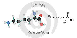 C6H14N2O2 amino acid Lysine molecule