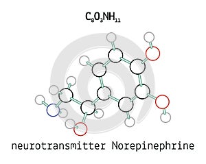 C8O3NH11 Norepinephrine molecule