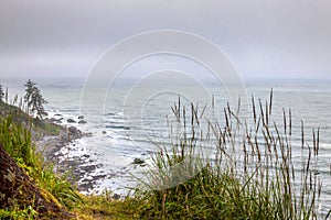 CA-Redwoods National Park photo