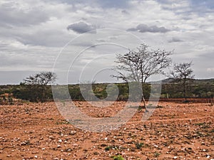 Rural region of the brazilian northeastern interior. The semi-arid tropical climate has the caatinga as a vegetation biome. photo