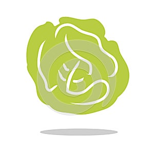 Cabage icon logo vector illustration isolated