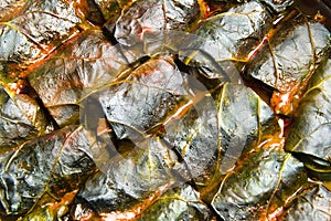 Cabage rolls in a tomato sauce