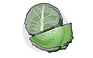 Cabagge, illustration