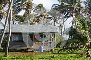 Cabana house with palm trees nicaragua photo
