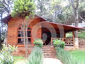 Cabana rustica de madera en medio del bosque photo
