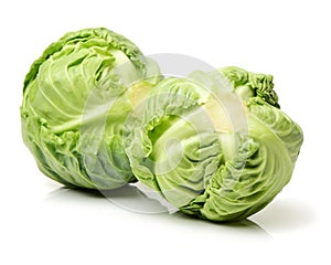 Cabbage