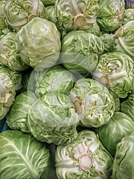 Cabbage