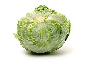 Cabbage