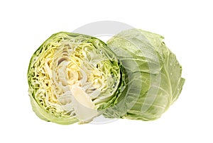 Cabbage