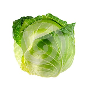 Cabbage