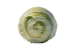 Cabbage