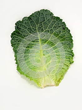 Cabbage