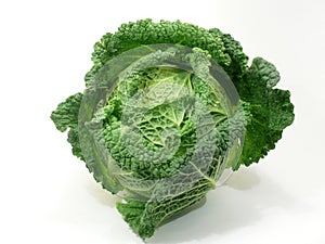 Cabbage