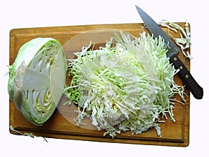 Cabbage on the breadboard