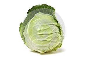 Cabbage