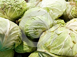 Cabbage can be eaten raw or cooked beforehand