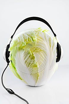 Cabbage DJ