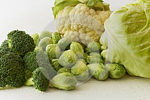 Cabbage Family. Brussels Sprouts, Broccoli, Cauliflower, and Green Cabbage photo