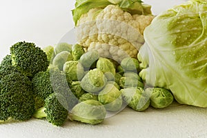 Cabbage Family. Brussels Sprouts, Broccoli, Cauliflower, and Green Cabbage