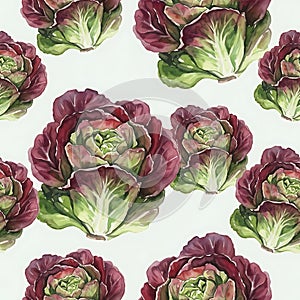 Cabbage Flowers Pattern on White Background