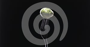 Cabbage on a fork against black background.