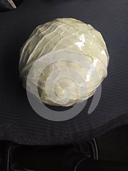 Cabbage fresh kubis