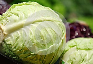 Cabbage in a grocery store produce section.