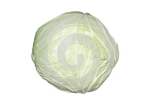 Cabbage head isolated on white background. A ripe whole cabbage. Organic food
