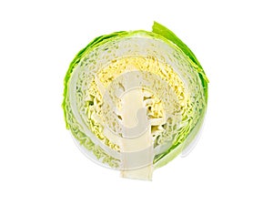 Cabbage head isolated on white