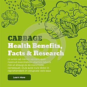 Cabbage health benefits, facts and researches