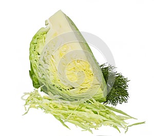 Cabbage isolated over white background