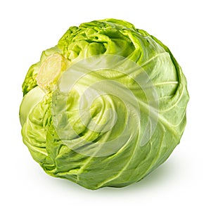 Cabbage isolated on white background