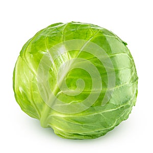 Cabbage isolated on white background